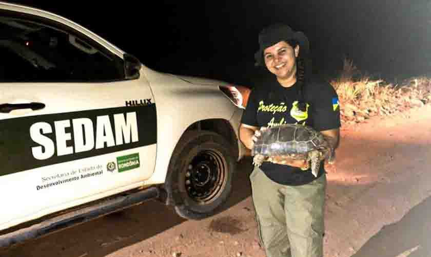 No dia do veterinário, Sedam destaca importância do profissional para proteção ao meio ambiente