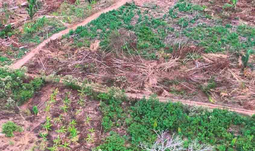 Em um ano de atuação, MPRO requer R$614 milhões em indenização por desflorestamento ilícito de cerca de 16 mil hectares em Porto Velho