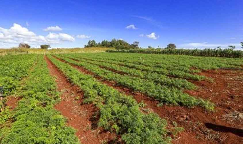 MPF assegura na Justiça moradia de famílias assentadas em área contestada por empresa em Porto Velho (RO)