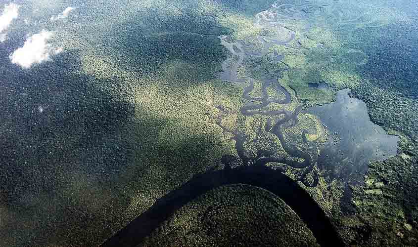 CNJ lança Observatório do Meio Ambiente do Poder Judiciário nesta terça-feira (10/11)