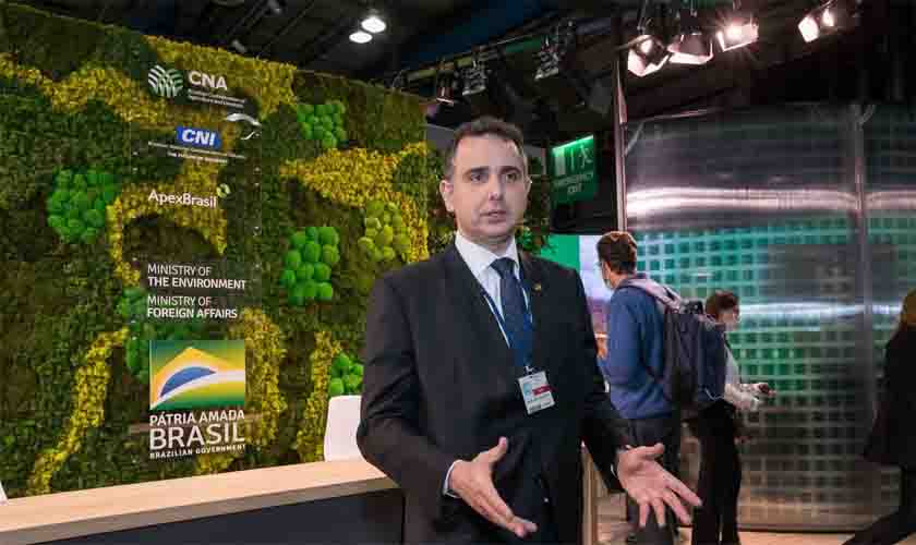 Pacheco: Brasil deve reconhecer desmatamento ilegal e fazer mea-culpa