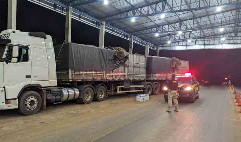 PRF realiza dois flagrantes de crime ambiental em Ariquemes