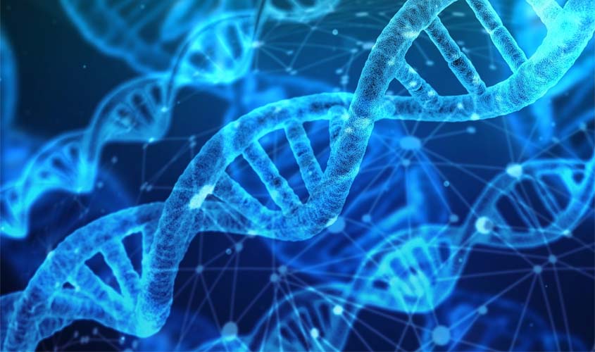 Negativa de paternidade transitada em julgado não pode ser relativizada sem dúvida razoável