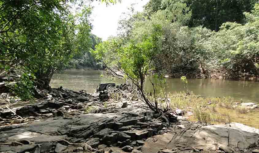 Governo lança edital para concessão da Flona do Jatuarana, no Amazonas