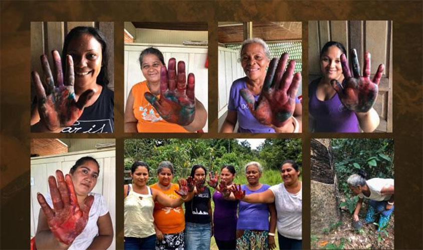 Exposição de arte revela lado esquecido do ciclo da borracha