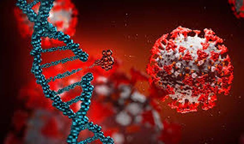 Covid-19: Rondônia com 161.205 casos e 3.240 mortes; Porto Velho registrou 27 mortes nas últimas 24h
