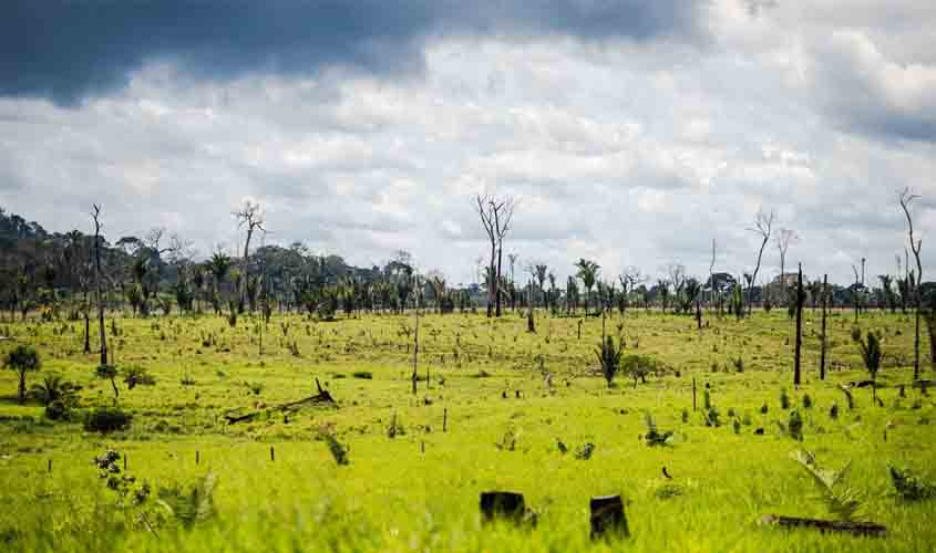 PF deflagra operação contra crimes ambientais na divisa entre AC e AM