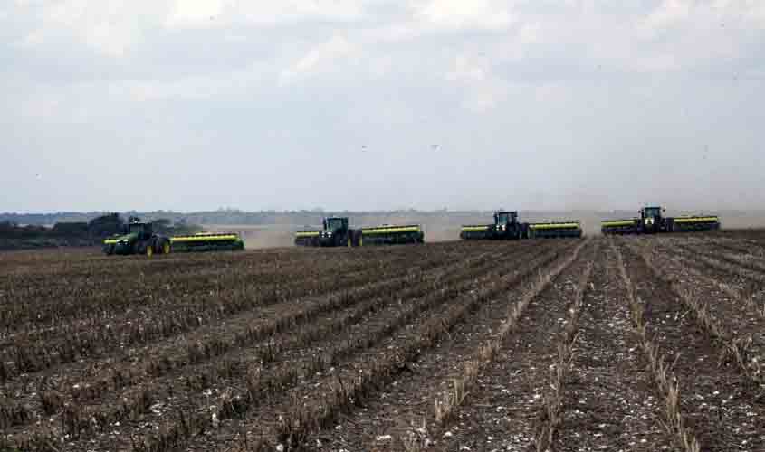 Safra de soja em Rondônia aproxima-se dos 80% de área colhida com expectativa positiva para 2025