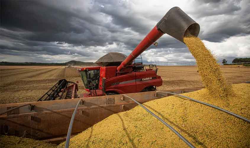 Após primeiras colheitas, Conab confirma estimativa de safra recorde