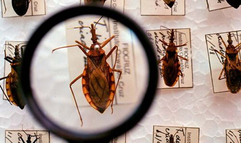 DOENÇA DE CHAGAS: Brasil contabiliza cerca de 4.500 mortes por ano