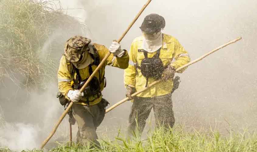 Governo autoriza contratação de brigadas federais pelo Prevfogo para atuar em dezenas de municípios