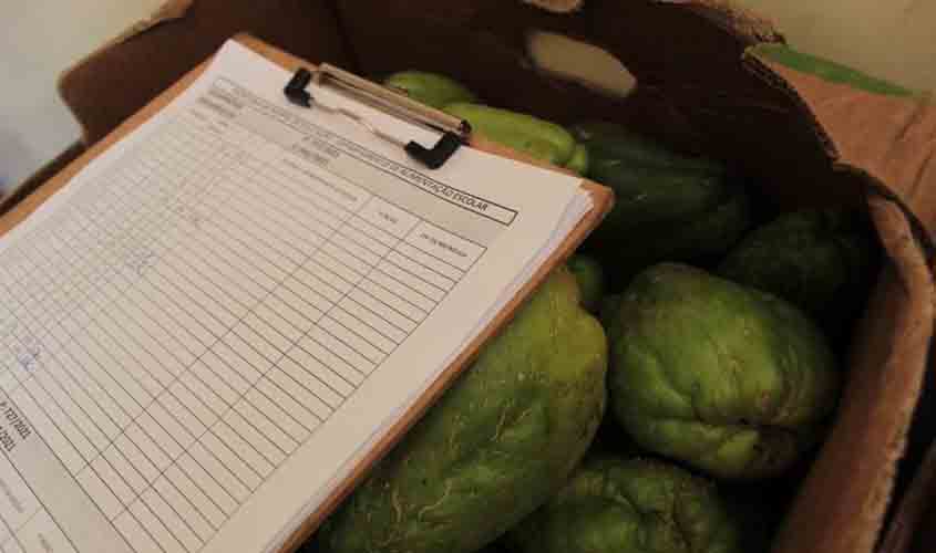 Quase 3 mil kits de alimentos da agricultura familiar são entregues às escolas municipais