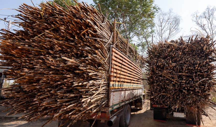 Justiça decide competência em ação sobre carga de cana