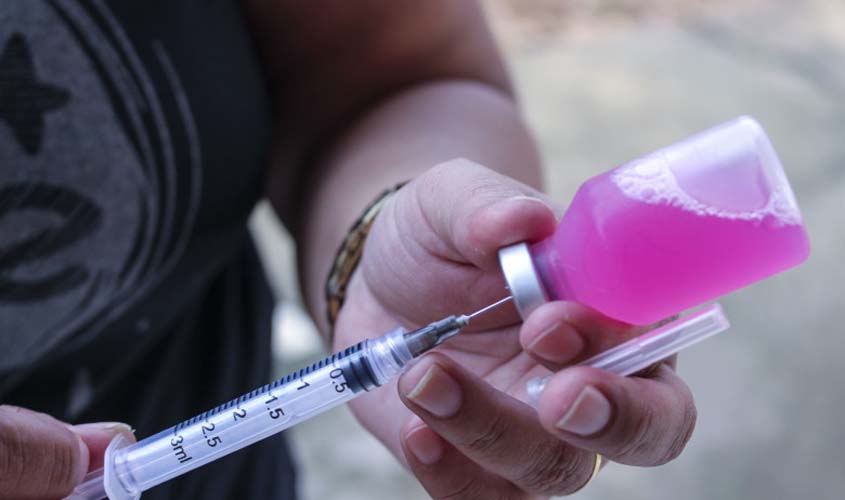 Dia D de vacinação para cães e gatos será no próximo dia 15 de outubro em Porto Velho