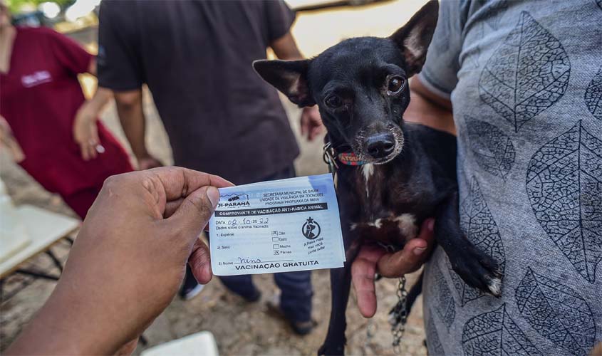 Mais de 7 mil cães e gatos recebem vacinação contra a raiva