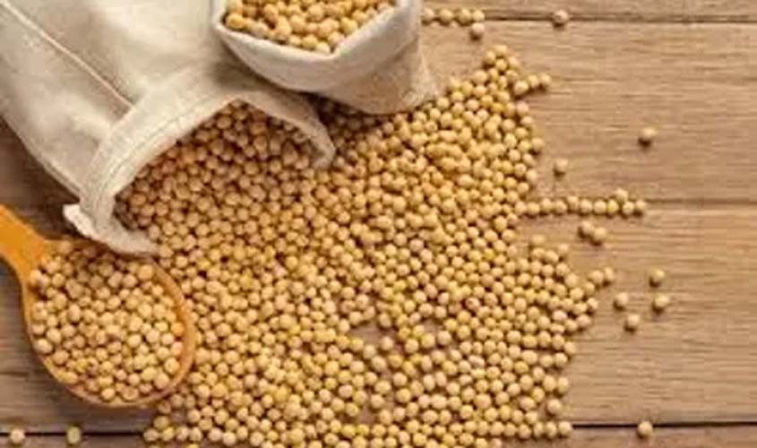 Cotação da soja e do trigo para hoje (10)