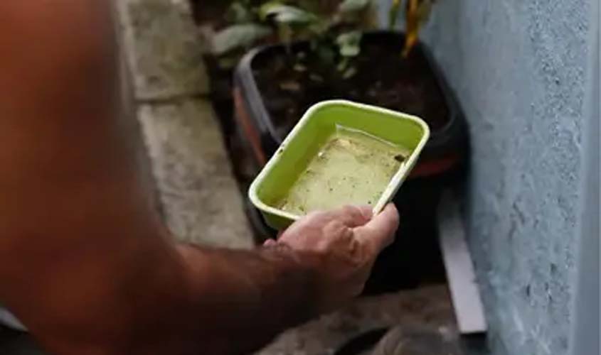 Quase metade dos municípios está em risco para Aedes aegypti