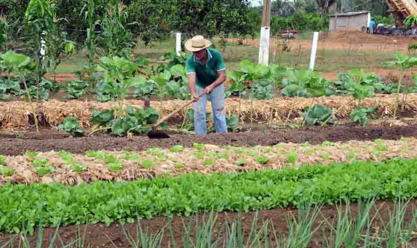 Seminário para elaborar o Plano de Desenvolvimento da Agricultura Familiar acontece nos dias 11 e 12