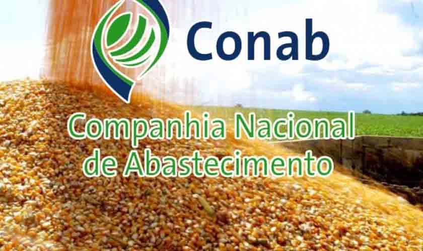 Conab aponta que soja e trigo garantem aumento na produção nacional de grãos