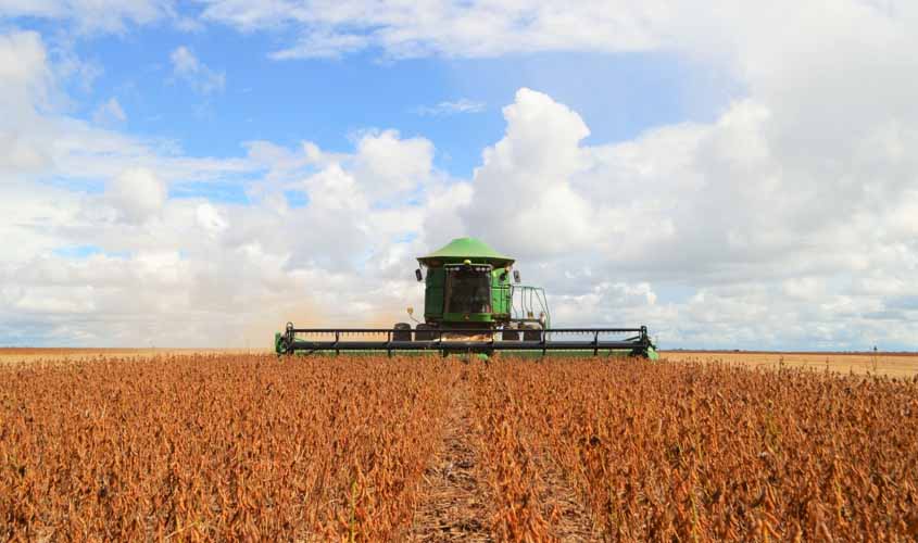 Idaron cadastra produtores de soja de Rondônia para garantir plantio saudável