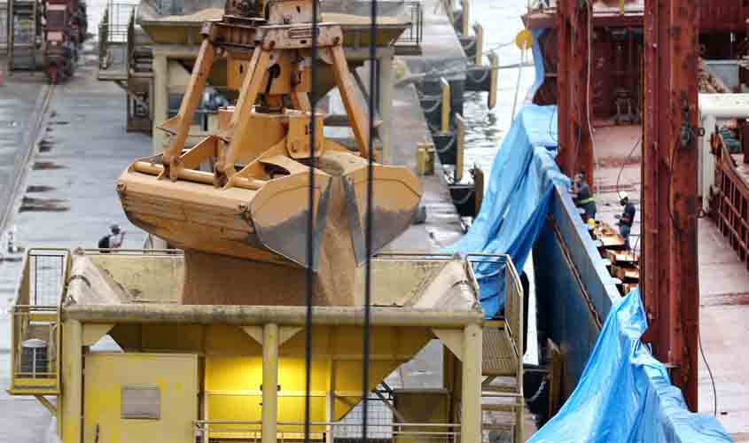 Safra de grãos deve ser recorde em 2021, diz IBGE