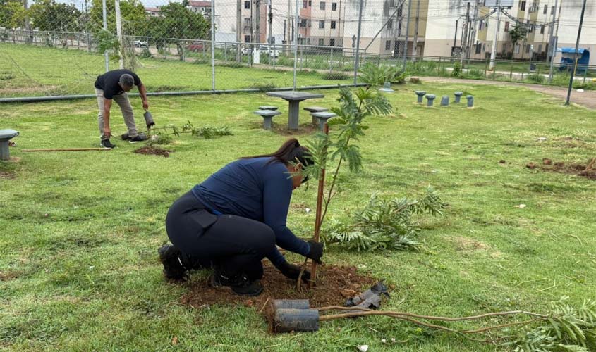 Plantio de mudas beneficia comunidade do Morar Melhor
