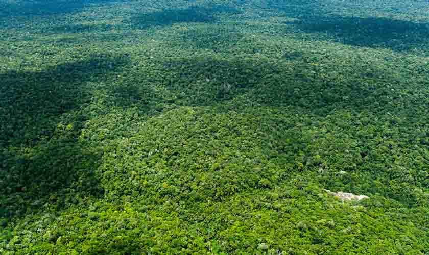 Concurso nacional premiará decisões judiciais em defesa do meio ambiente