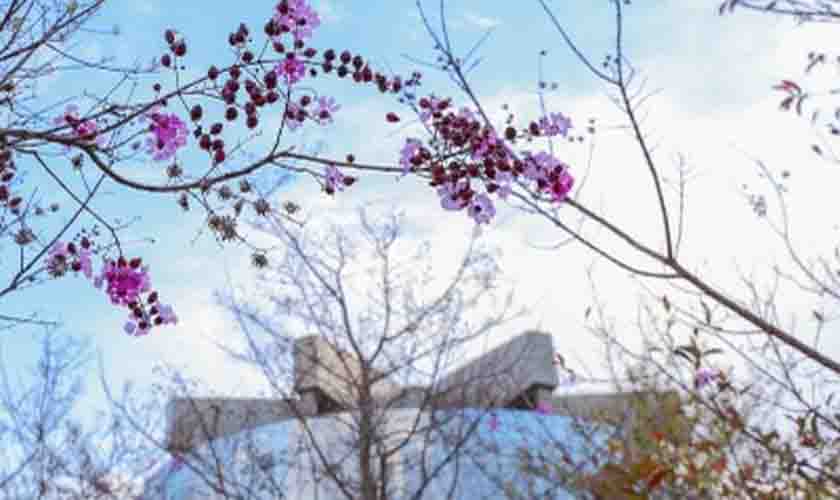 PGR requer repercussão geral em recurso que trata da pena para crimes sexuais reiterados contra menores