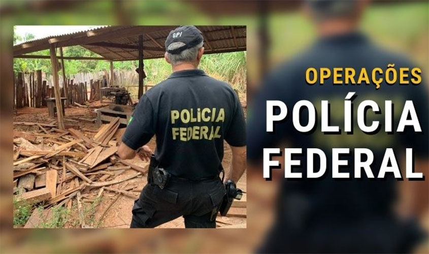 PF deflagra operação para combater extração ilegal de madeira em Rondônia