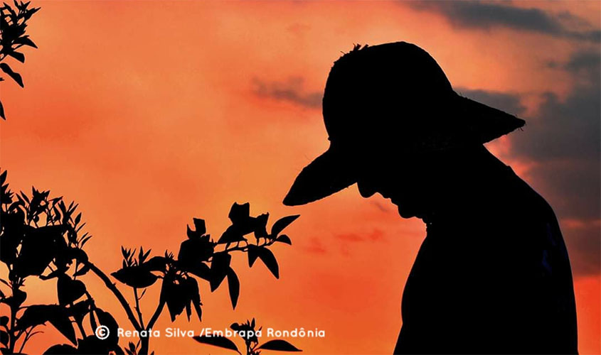  Mais de 1/3 dos proprietários rurais de Rondônia está na faixa etária mais vulnerável à COVID-19