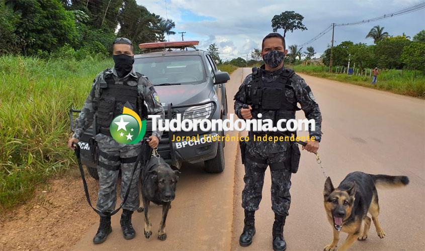 Polícia recebe denúncia e intercepta ônibus com droga 