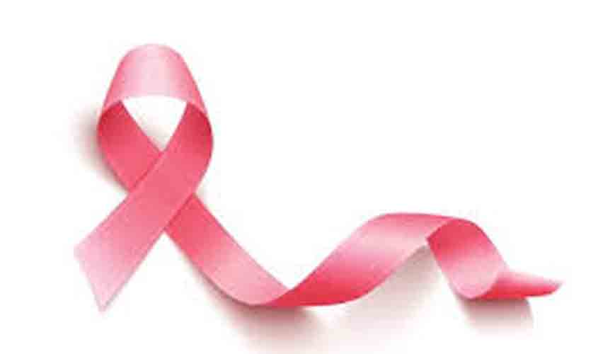 Combate ao câncer: Startup Ana Saúde nasce como opção de tratamento complementar