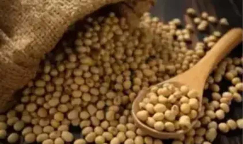 SOJA E TRIGO: confira os preços dos grãos nesta quinta-feira (11)