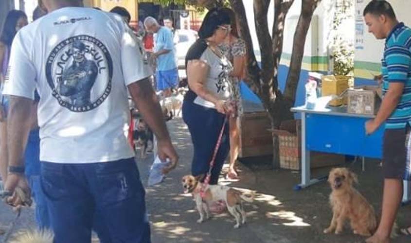 Campanha de vacinação antirrábica  imuniza mais de 8 mil animais