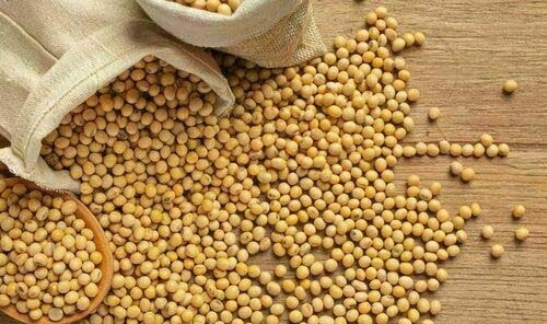 INDICADORES: Preço da soja sobre nesta terça-feira (11)