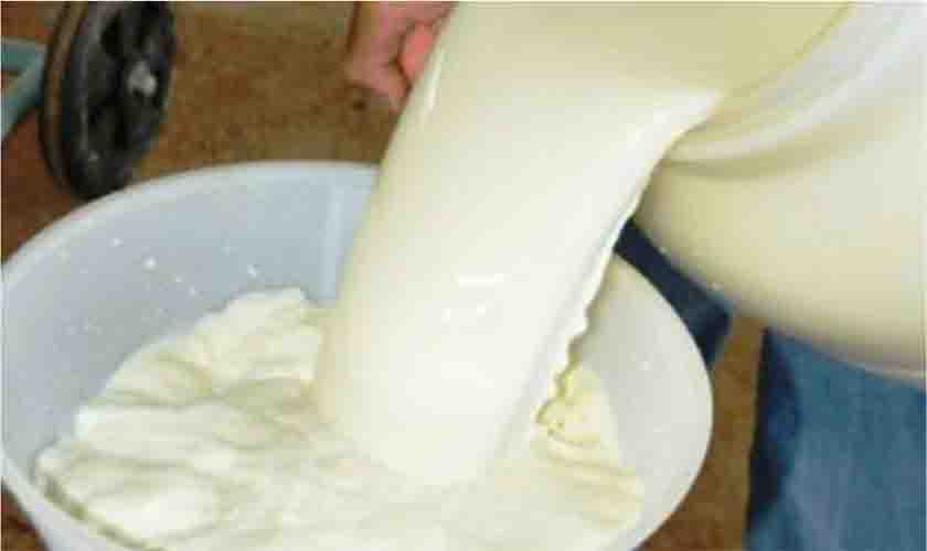 Governo de Rondônia vai lançar Programa Agroleite para o fortalecimento da produção no Estado