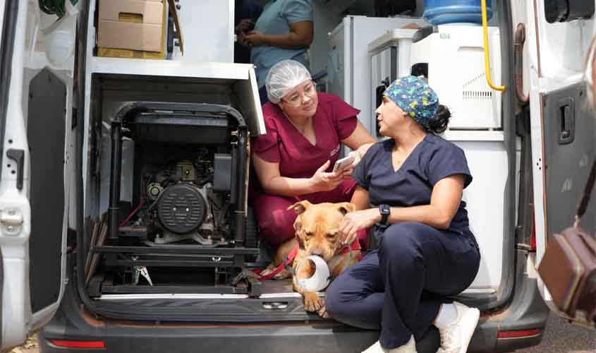 Porto Velho promoveu ação de exames e pré-operatórios para castração de cães e gatos no Parque Circuito