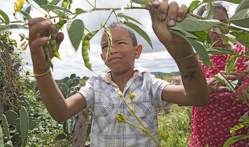 Sem volta às aulas, como fica a alimentação escolar?