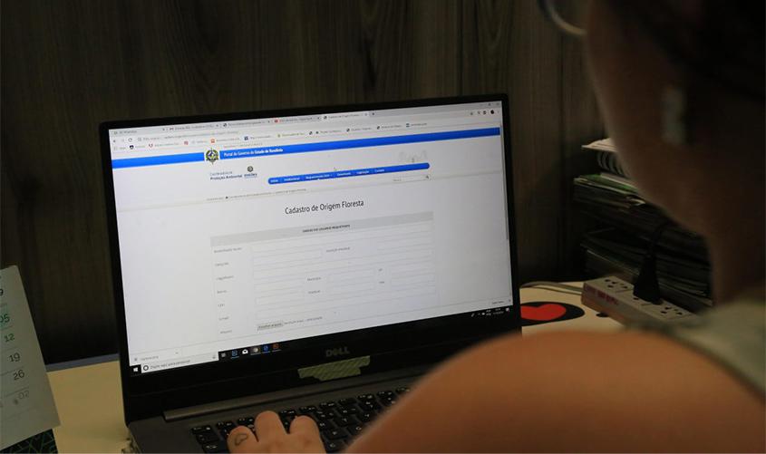 Sistema garante agilidade em Documentos de Origem Florestal