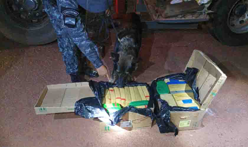 PMRO apreende mais de 116kg de entorpecente durante Operação Hórus