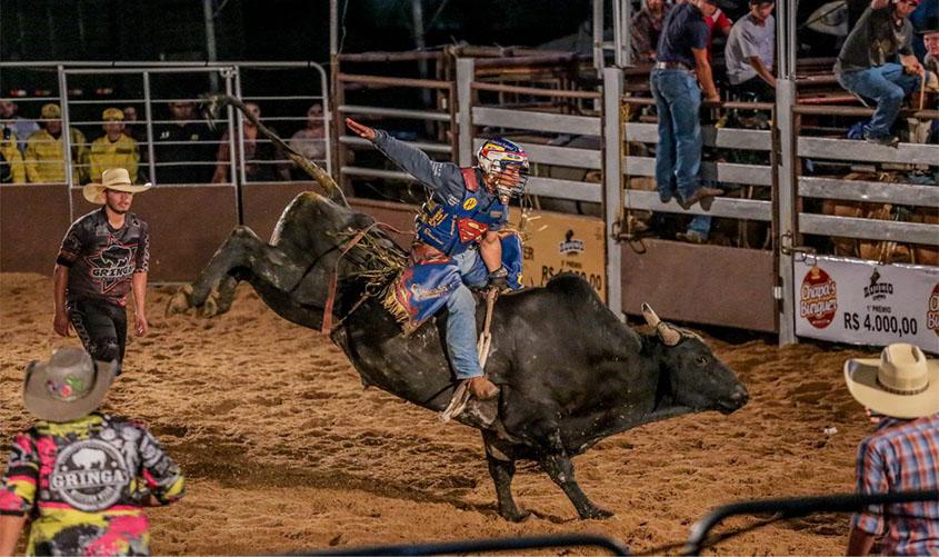 Lei estabelece bem-estar animal em atividades esportivas e culturais com bovinos e equinos