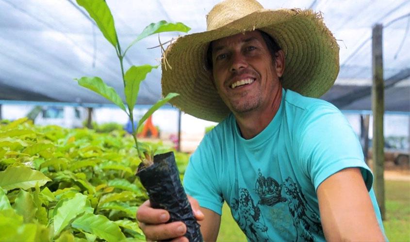 Cafeicultores recebem mudas de café para fomentar a produção