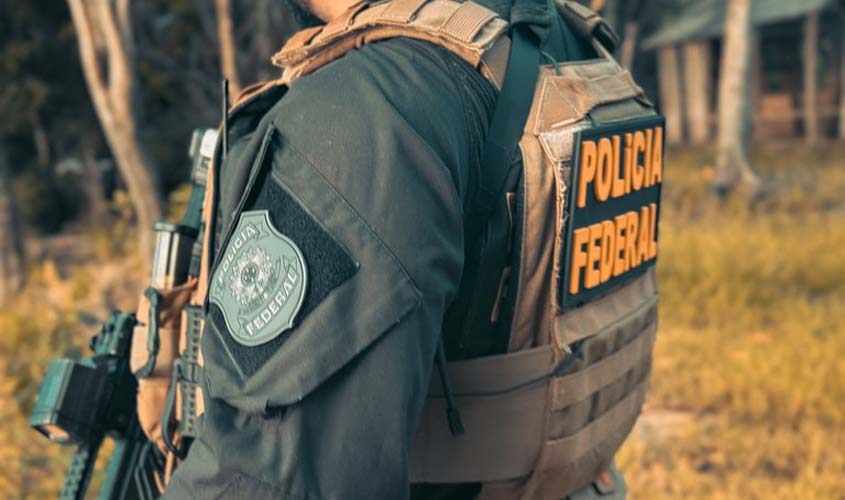 PF e Ibama fazem operação em madeireiras de Rondônia