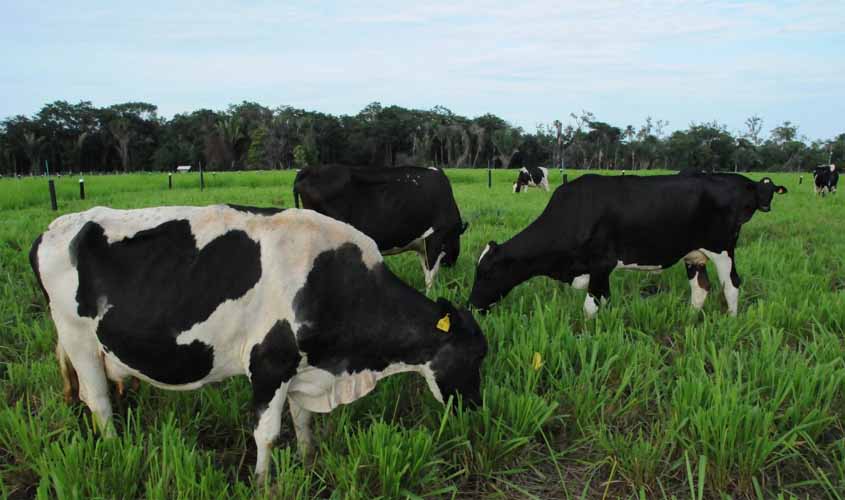 Governos de Rondônia e Acre firmam protocolo para desenvolver o setor produtivo