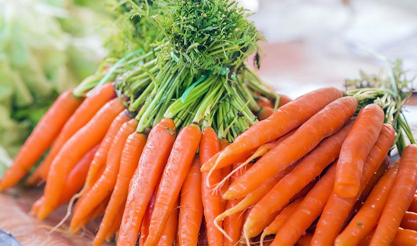 Embrapa cria cenoura que dispensa agrotóxico
