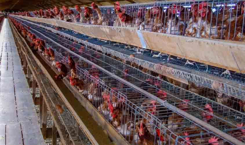 Novo decreto suspende cobrança de ICMS sobre embalagens para produtos rurais