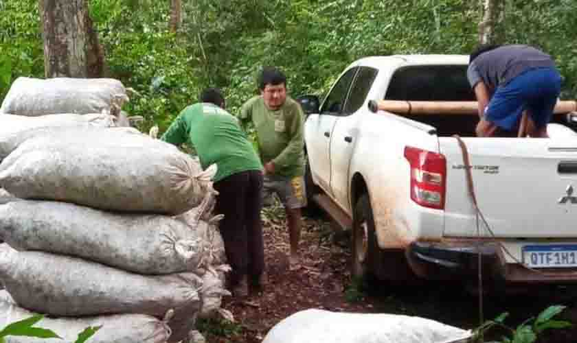 Funai fornece apoio a projeto de Sistema Agroflorestal em Terra Indígena de Rondônia