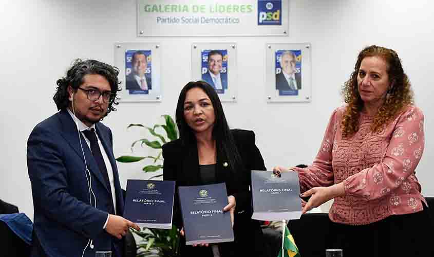 Senadores entregam relatório da CPMI do 8 de Janeiro a enviado da OEA
