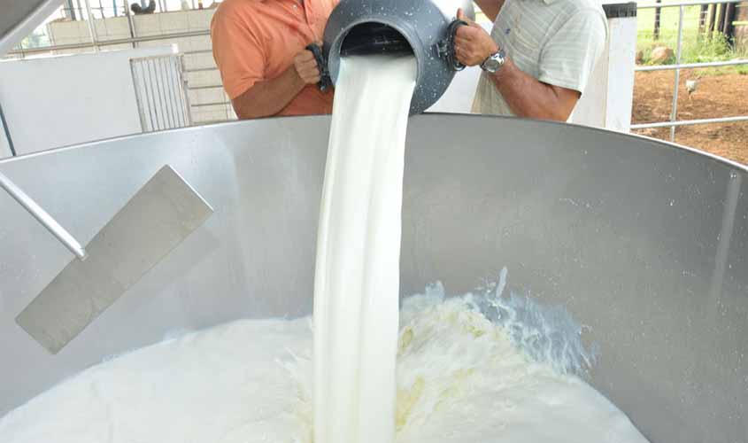 Pesquisa desenvolvida em Rondônia contribui para a melhoria da qualidade do leite que chega à mesa do consumidor