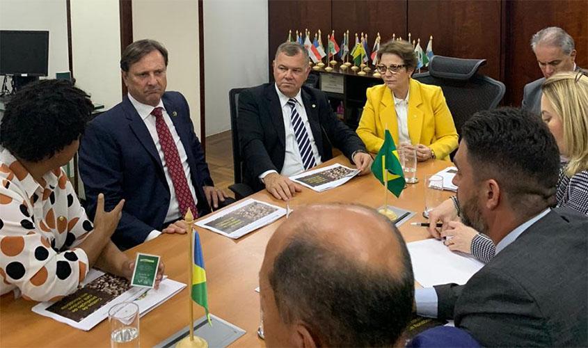 Mapa vai rever base de cálculo do preço do café de Rondônia